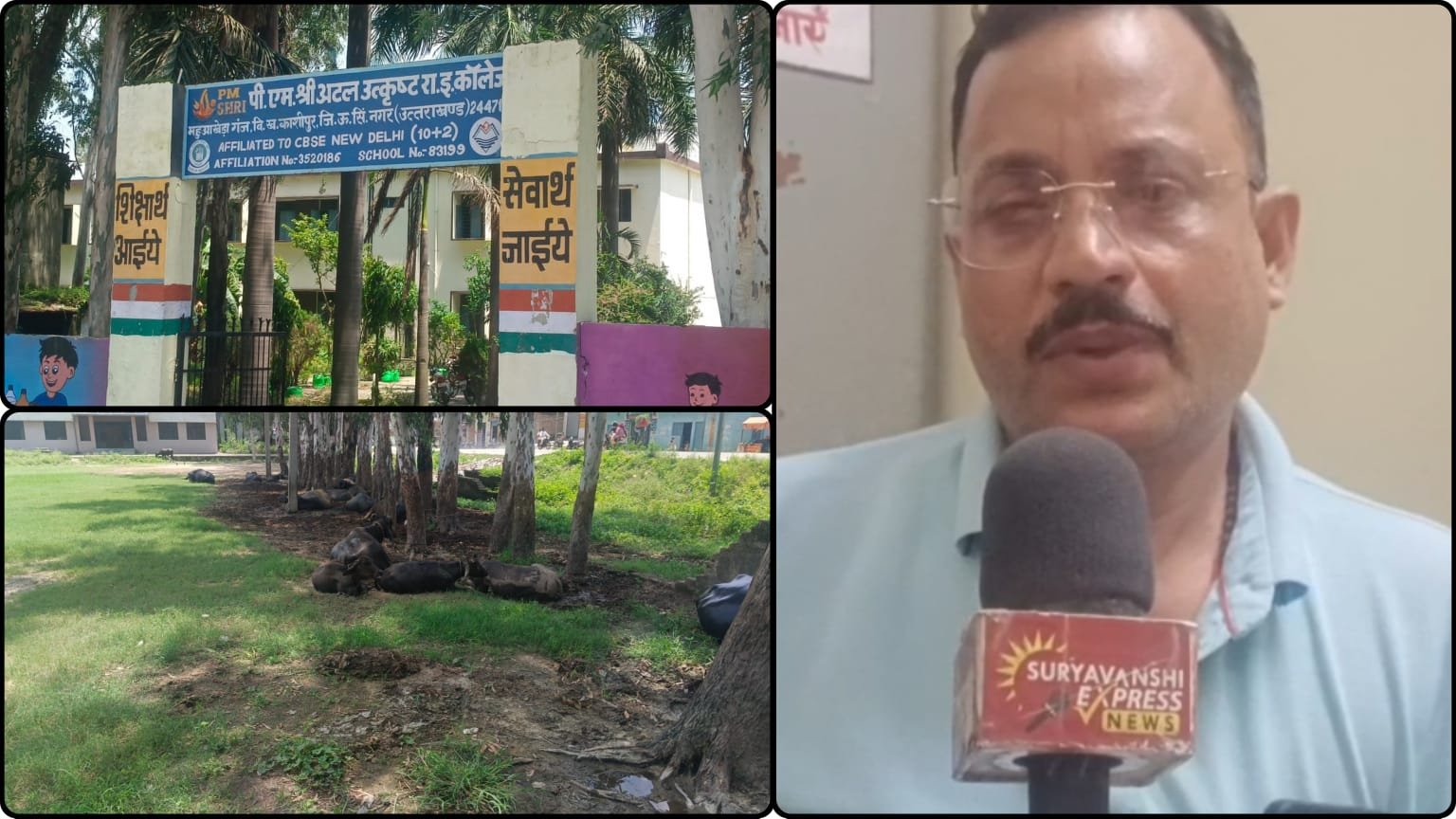 अटल उत्कृष्ट कॉलेज पर गंभीर सवाल, पेड़ों की कटाई से लेकर सुरक्षा व्यवस्था तक घेरे में।
