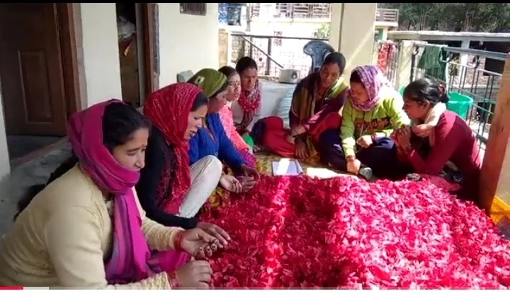 शीतल स्वयं सहायता समूह ने पहाड़ी उत्पादों को दी नई पहचान, सालाना दो लाख तक पहुंची आय।